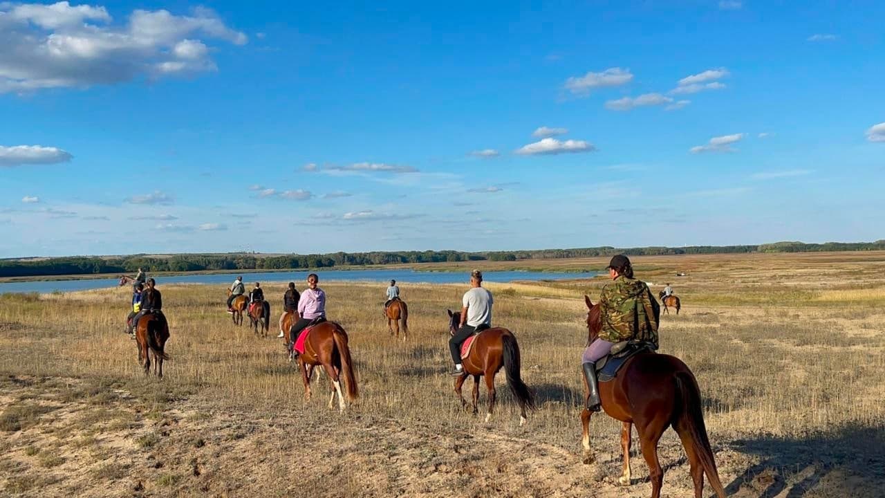 Пони Клуб «Три-Богатыря»